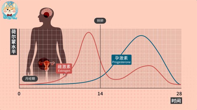 科学避孕方法汇总!享受七夕前,你要先了解这些知识|图文