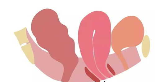 魏广运私密整形 美丽绽放