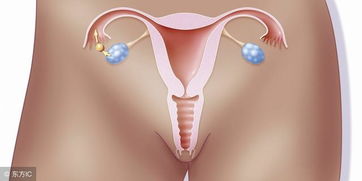 患了多囊卵巢好担心,是不是不会怀孕了