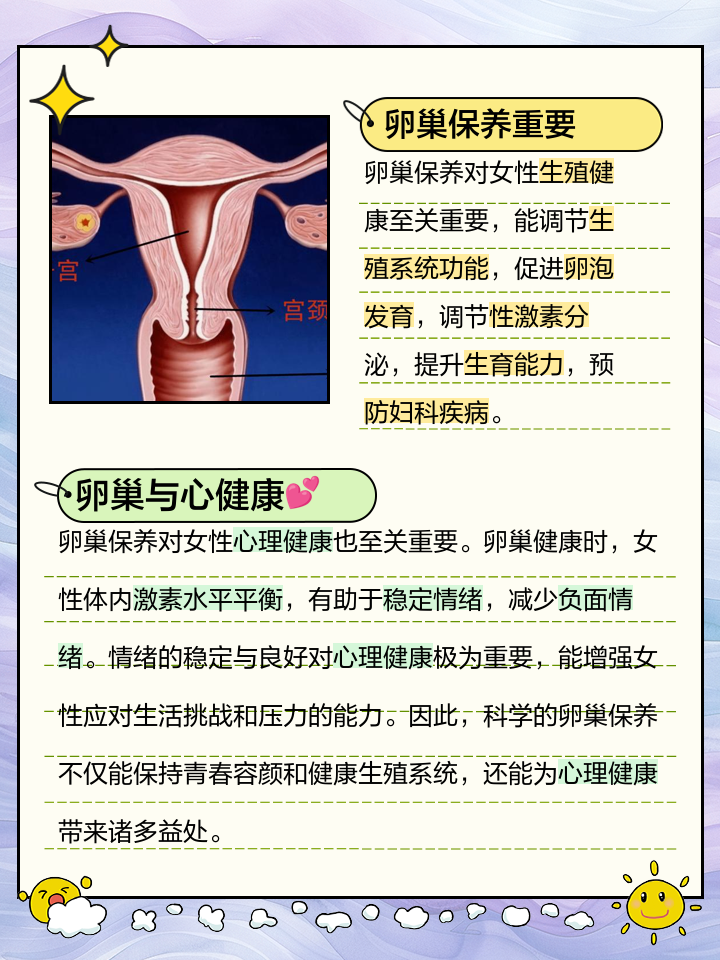卵巢是女性重要的生殖器官,主要功能是分泌女性激素和产生卵子,维持