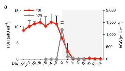 器官芯片成功模拟月经周期,或有助未来药物研发