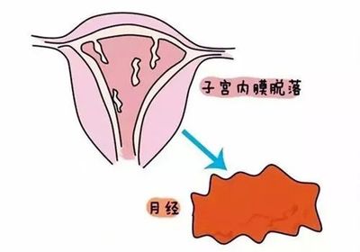 『知识』关于子宫,女性一定要知道的5件事!