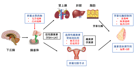 "粉红丝带月"科普专栏 :听说内分泌治疗要持续十年,是真的