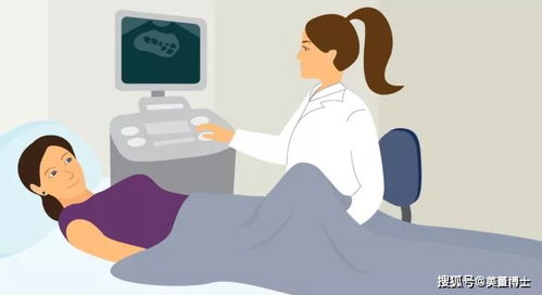 山东大学附属生殖医院高芹医生 怎样选择冷冻胚胎的移植方案