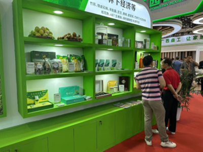 林业所参加第一届世界林木业大会