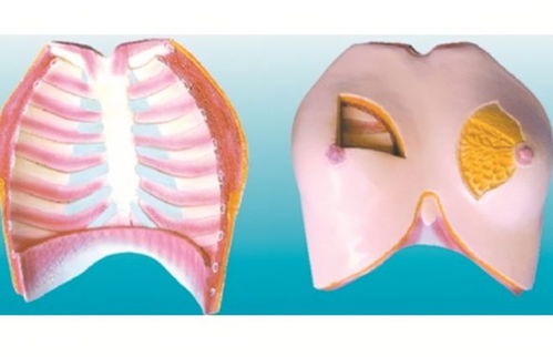 晚上经常吸女性乳房，健康吗？医生提醒男人 放过妻子吧