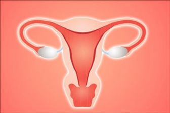 子宫内膜厚度解读 正常范围、异常增厚原因及科学治疗方案