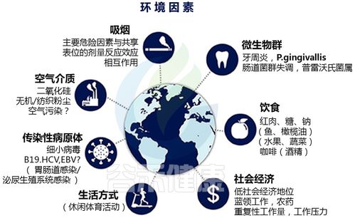 肠-关节-生殖激素 探索类风湿性关节炎中的复杂生物轴
