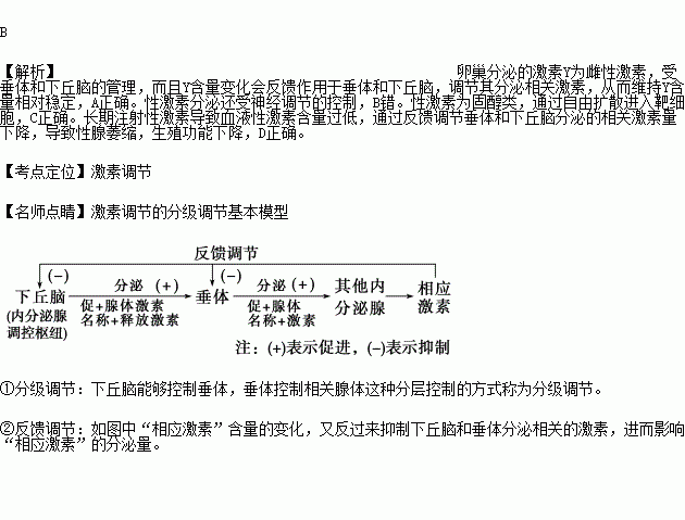如图为动物的生理过程示意图.下列相关分析中.错误的是a.激素y含量的相对稳定是分级调节和反馈调节共同维持的b.该生理过程的调节只有体液调节方式c.激素y到达靶细胞后