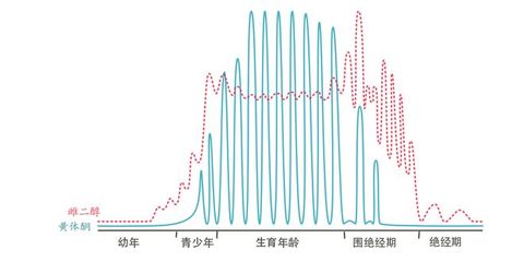 当抑郁症在更年期悄悄来临 生殖激素的角色与应对