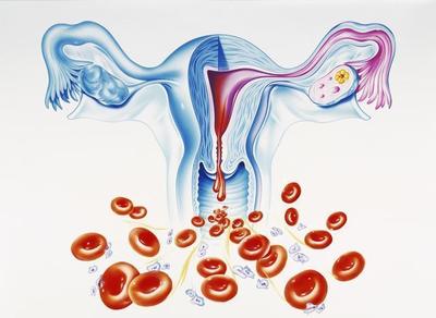 月经一般来几天算正常？从周期与生殖激素角度解读你的健康状况